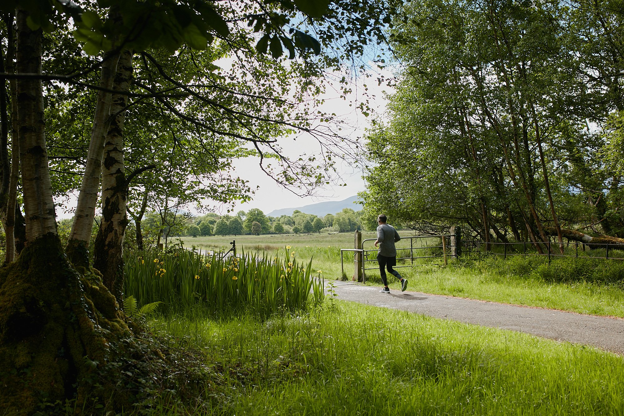  Killarney National Park 