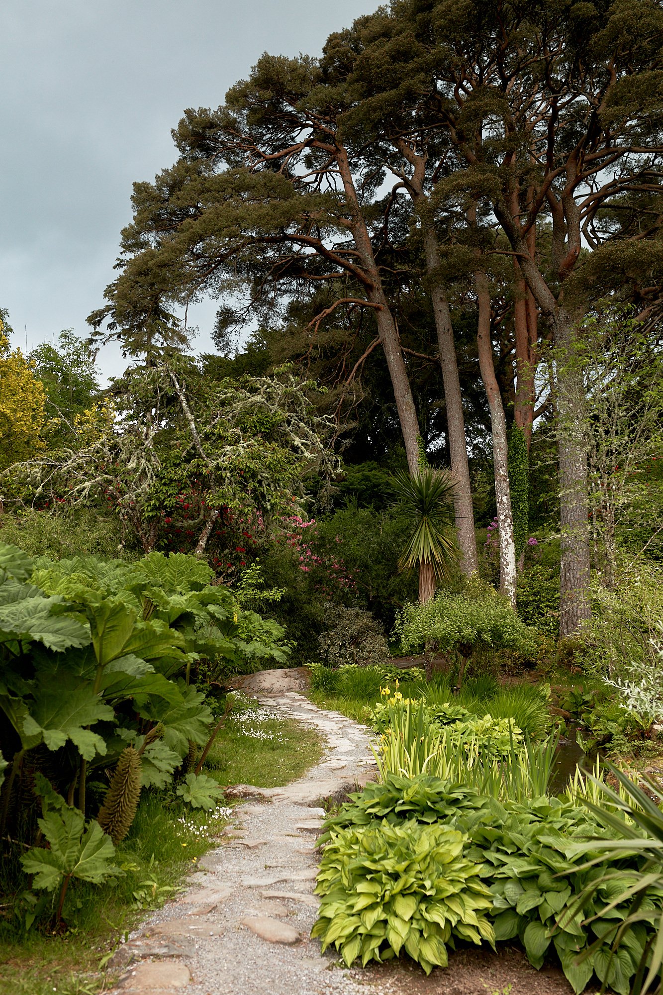  Killarney National Park 