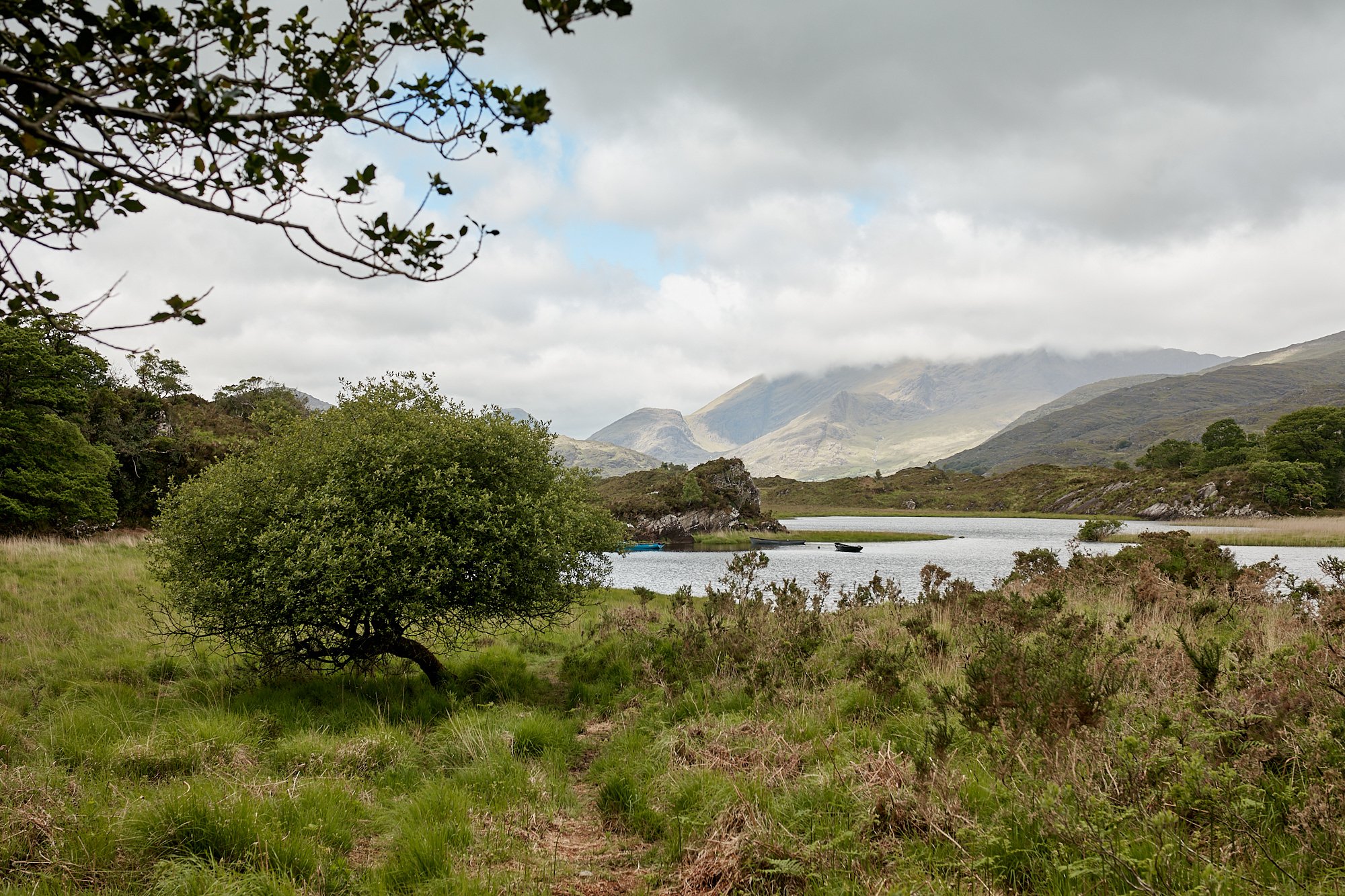  Killarney National Park 