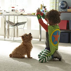 Stainmaster Carpet 2.jpg