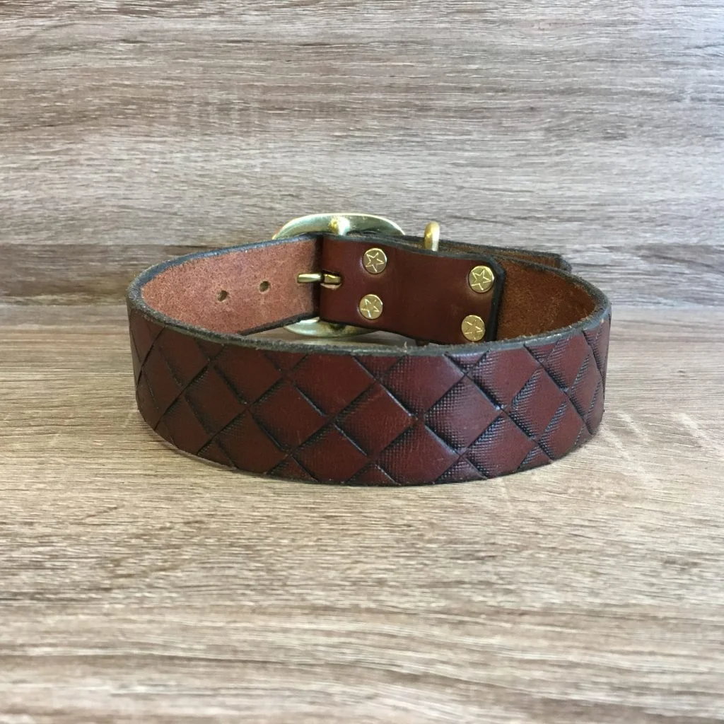 Paco Dude Collar.jpg