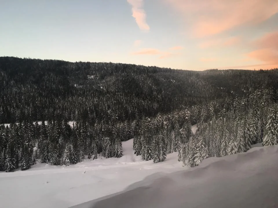 Mountains1.jpg