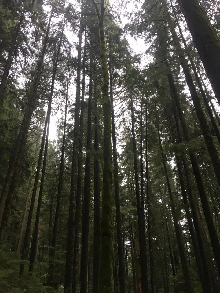 Vancouver6.jpg