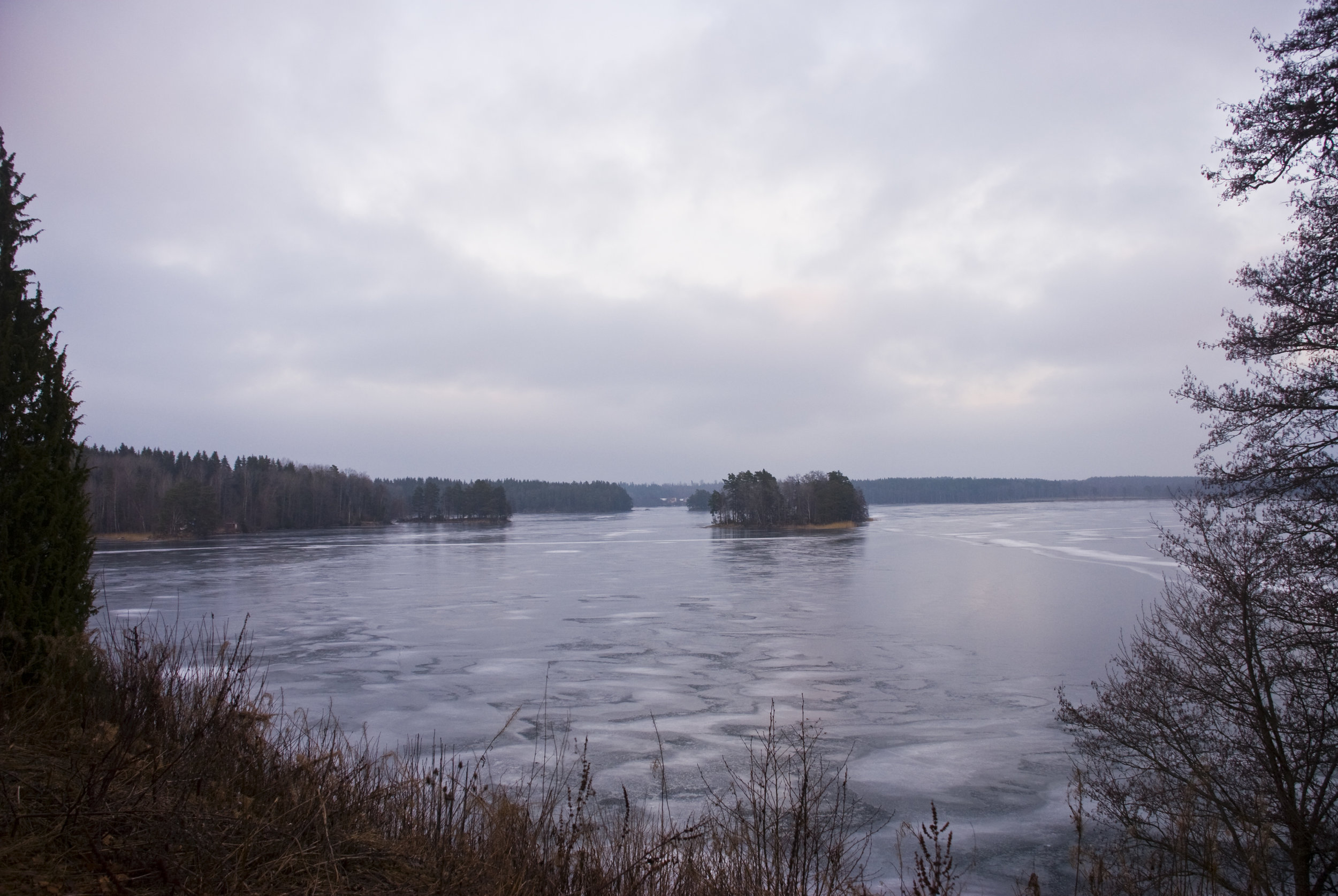DSC_8021.jpg