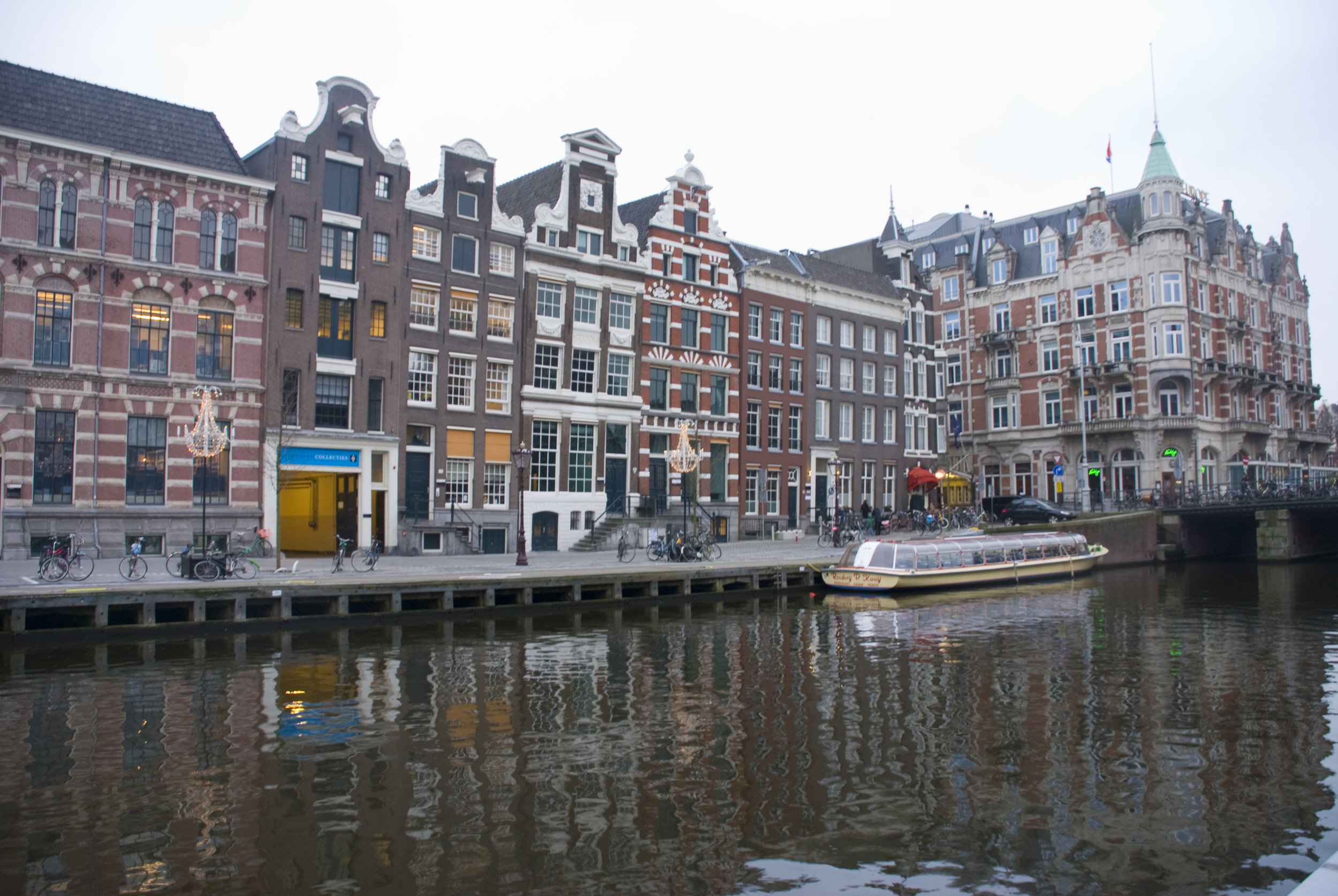 DSC_8486.jpg