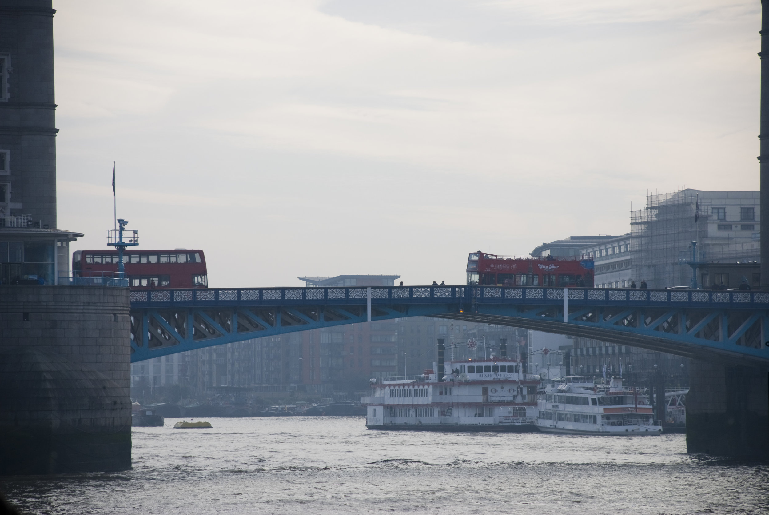 DSC_8790.jpg