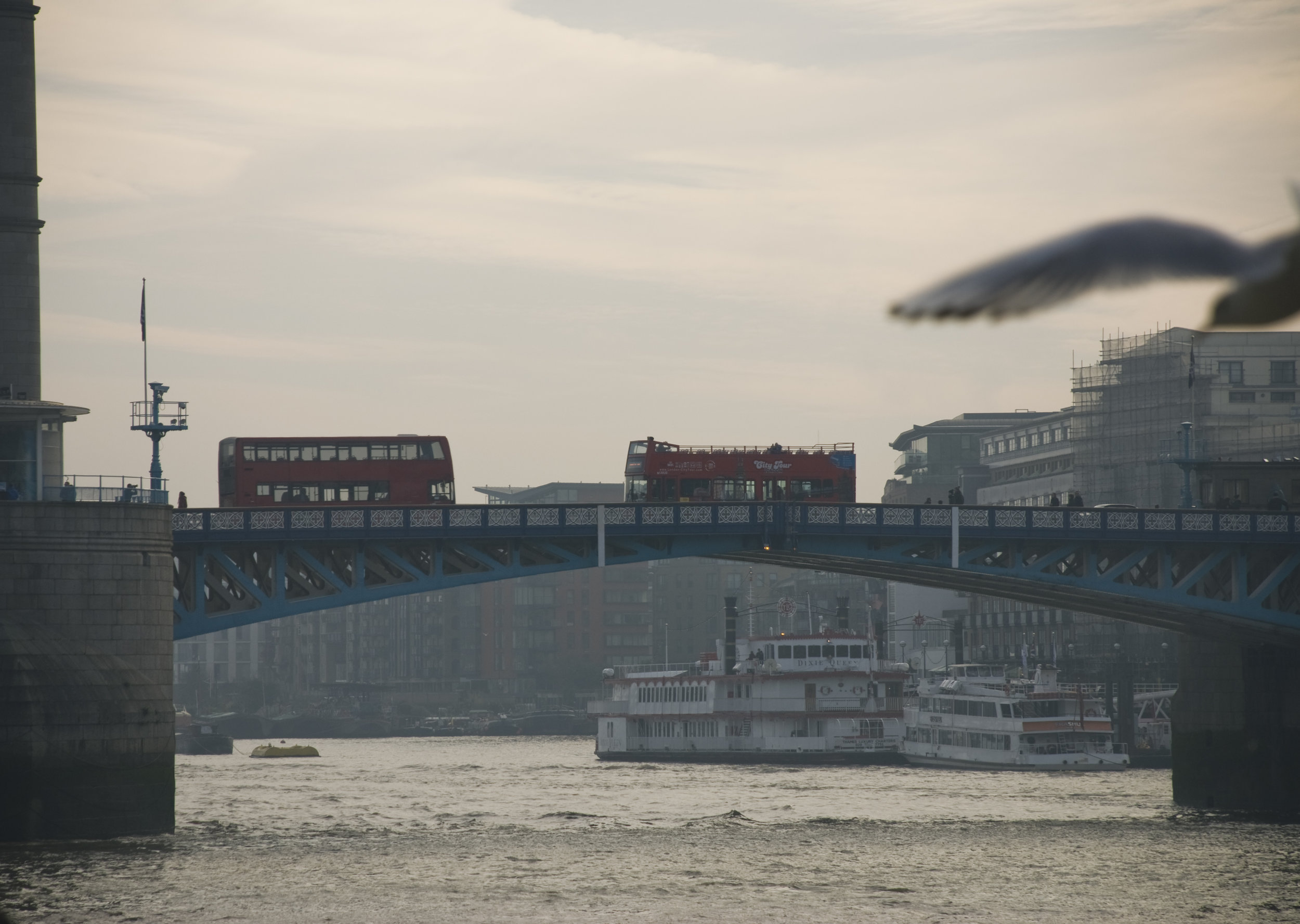 DSC_8791.jpg