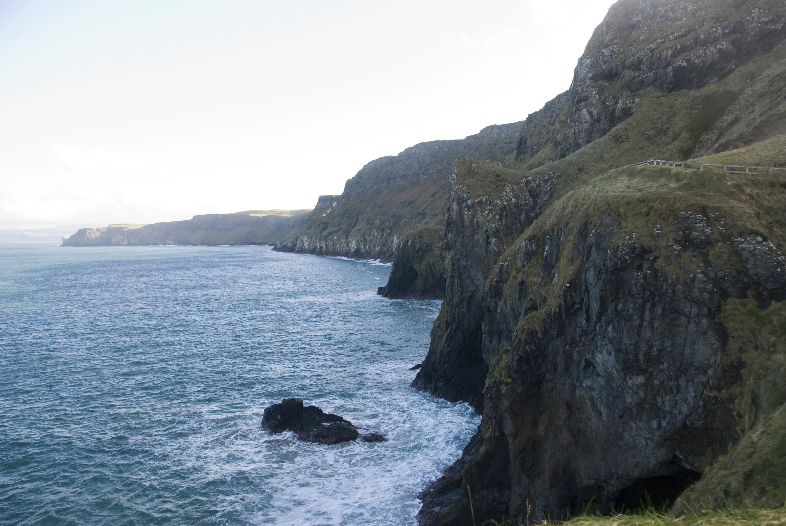 DSC_9023.jpg