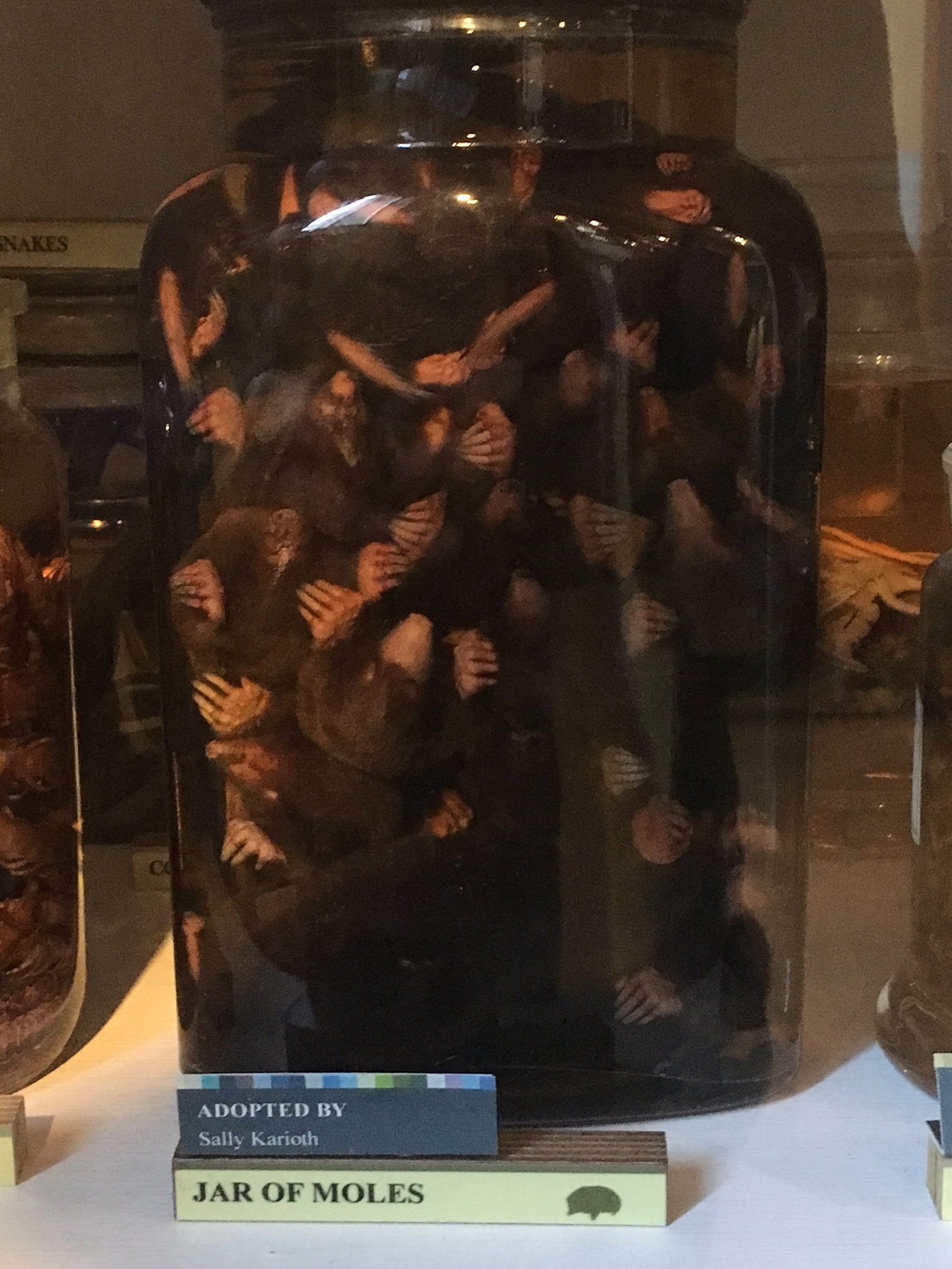 GrantMuseum1.jpg