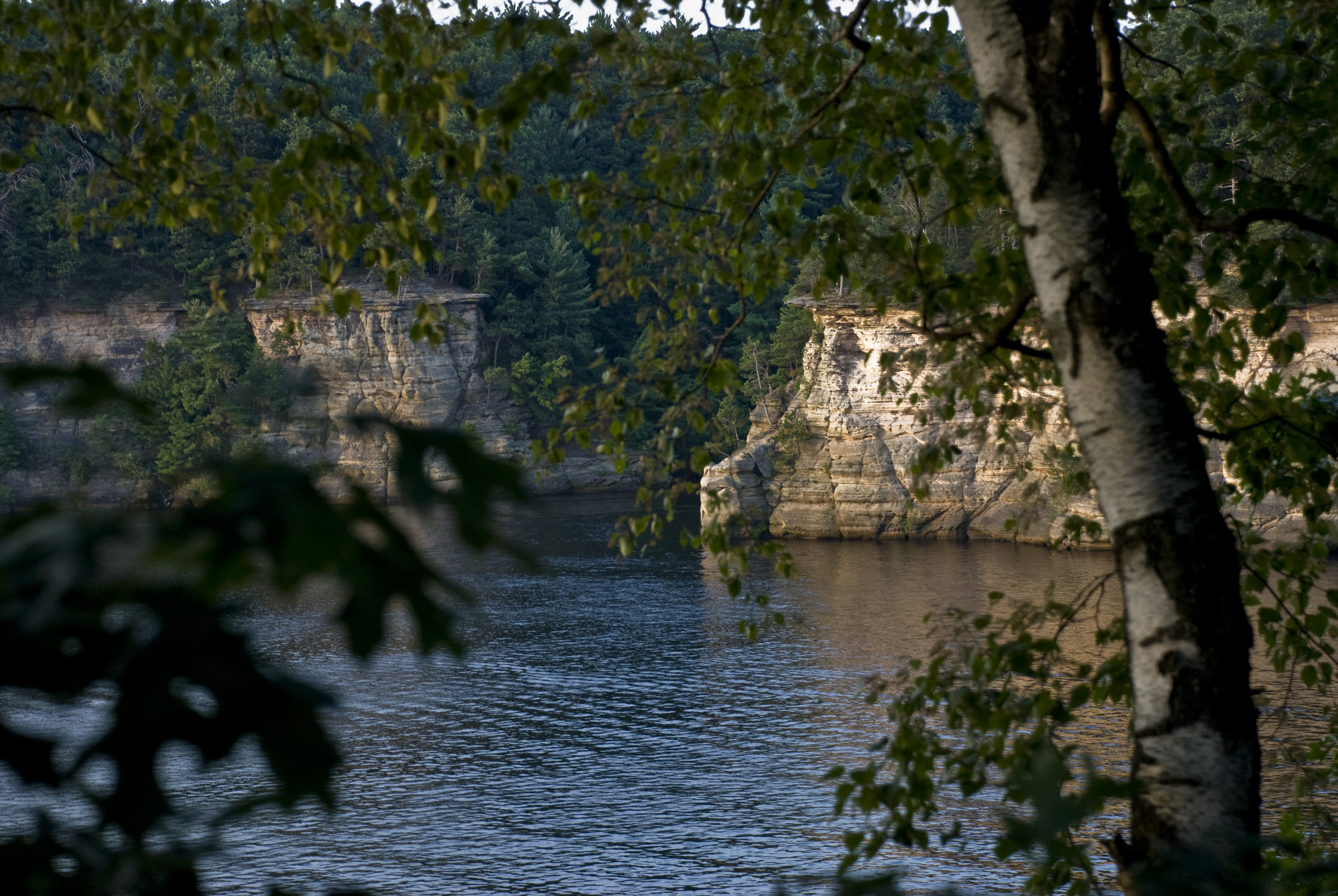 DSC_2279.jpg
