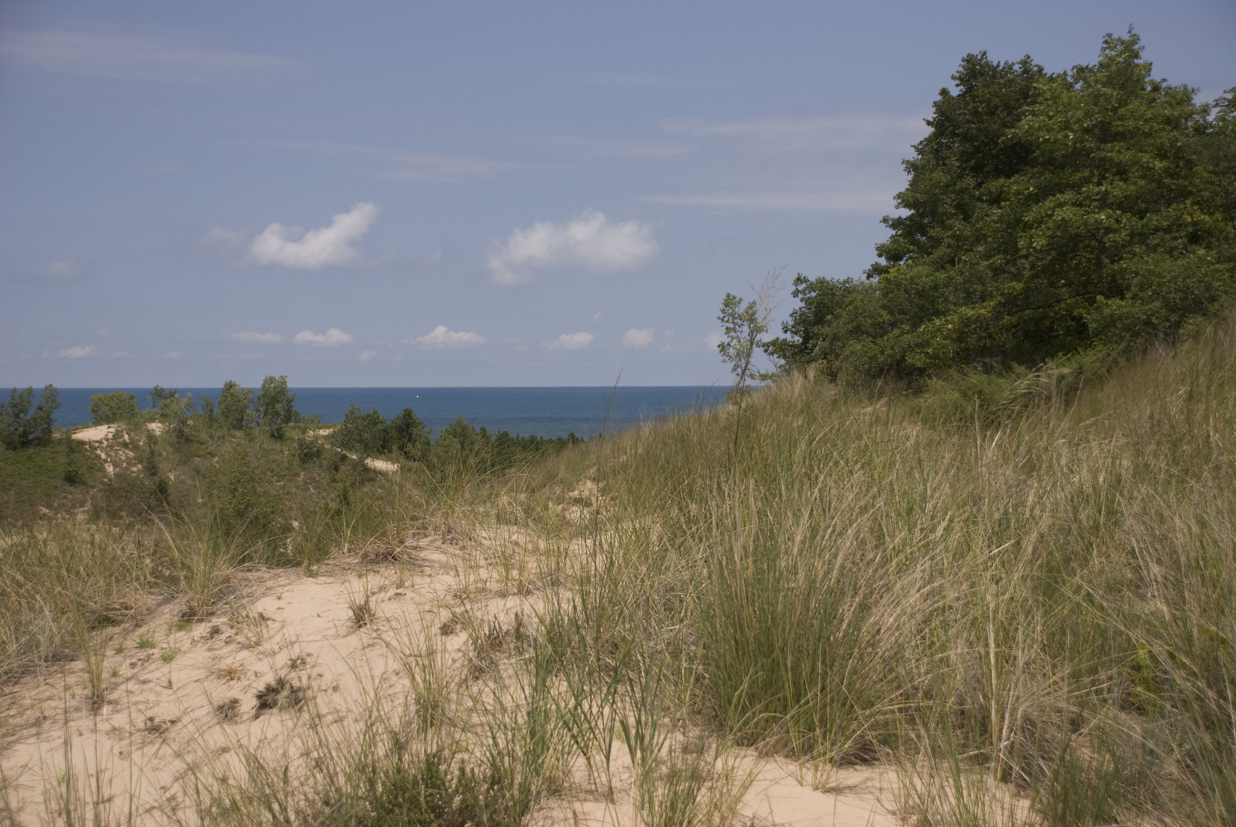 DSC_2676.jpg