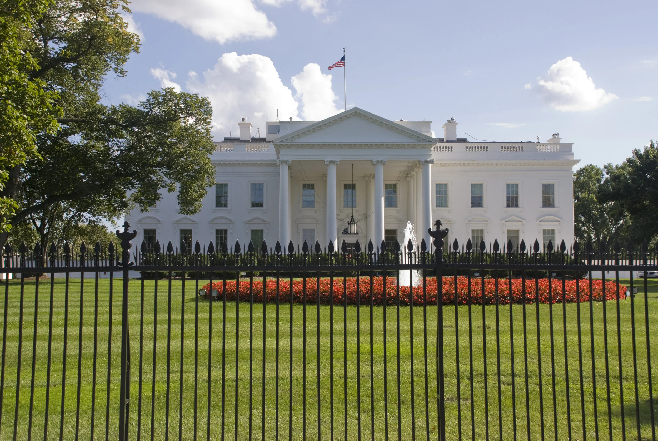 TOUR DIARY: AD in DC