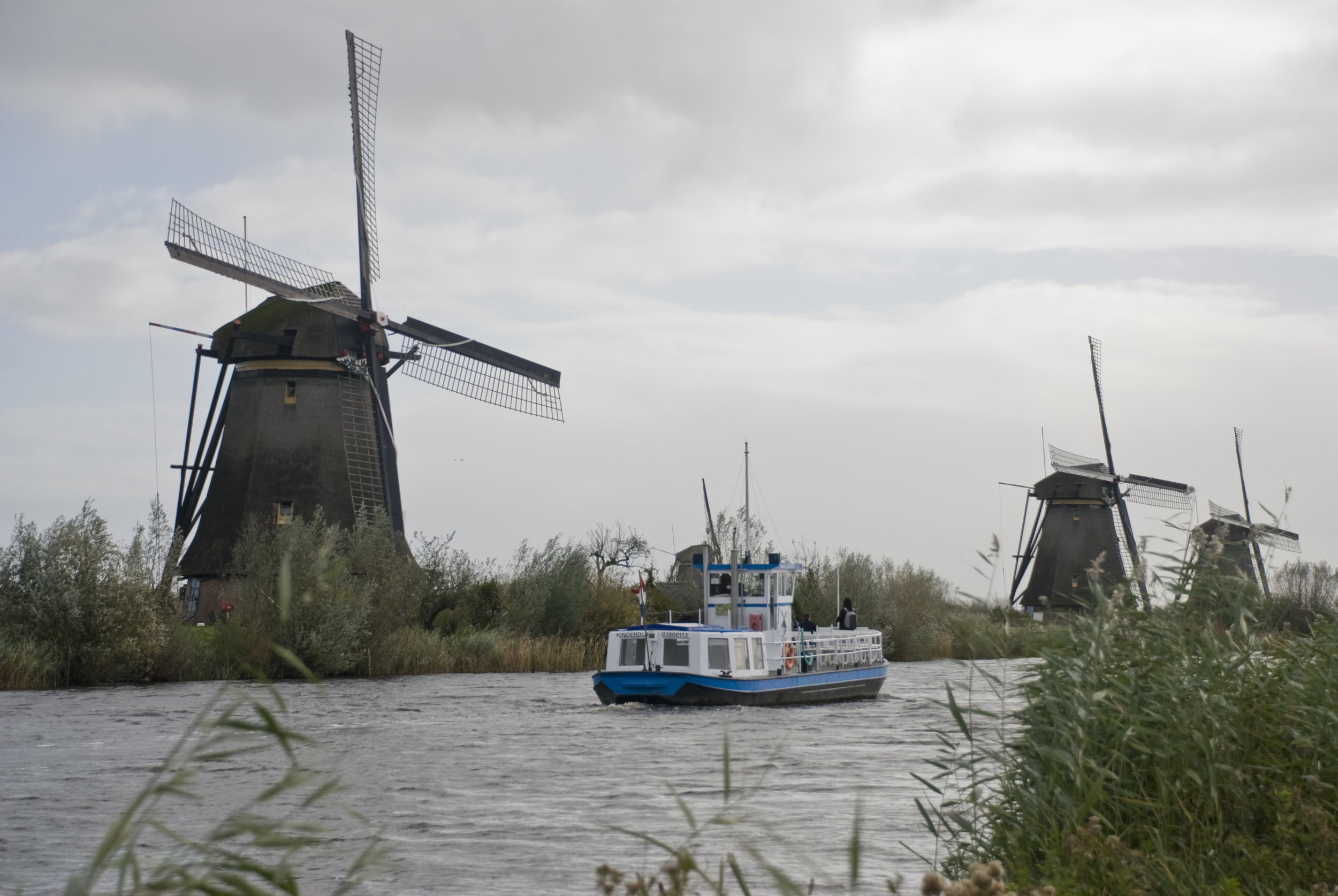 TOUR DIARY: Windmills and Wild Boar