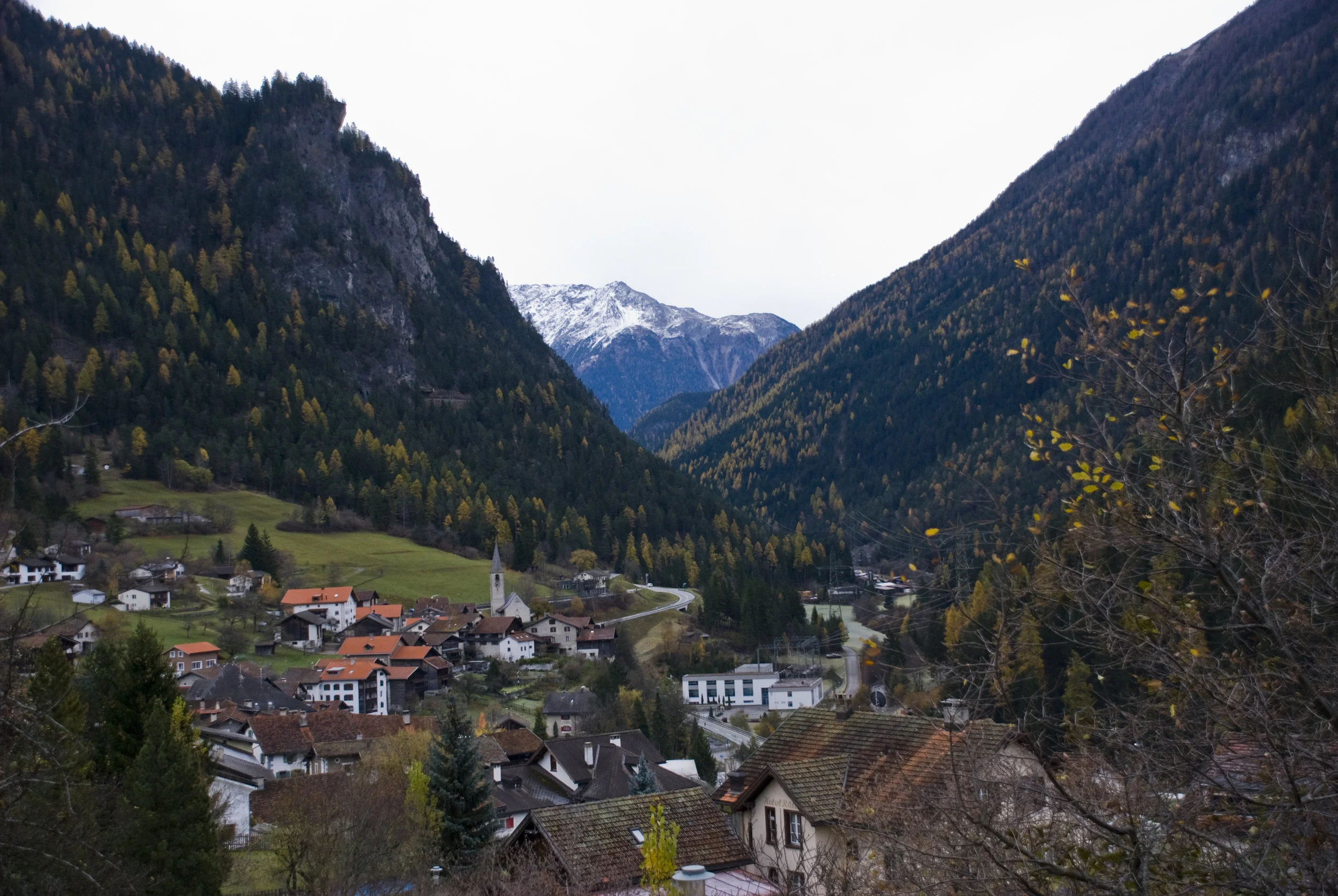 DSC_5062.jpg