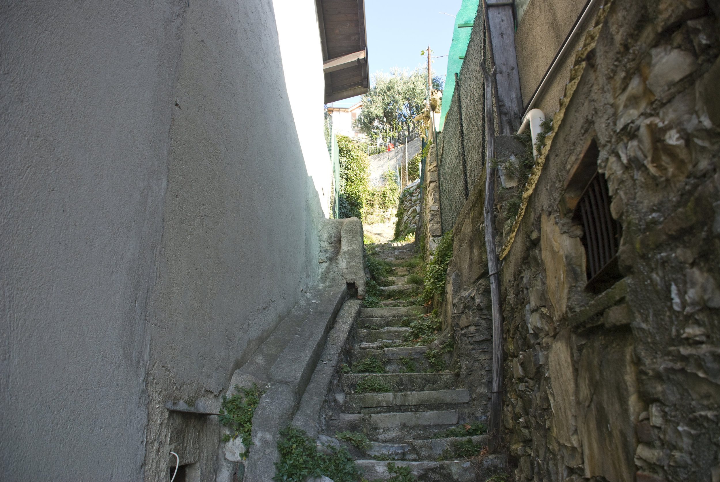 DSC_5431.jpg