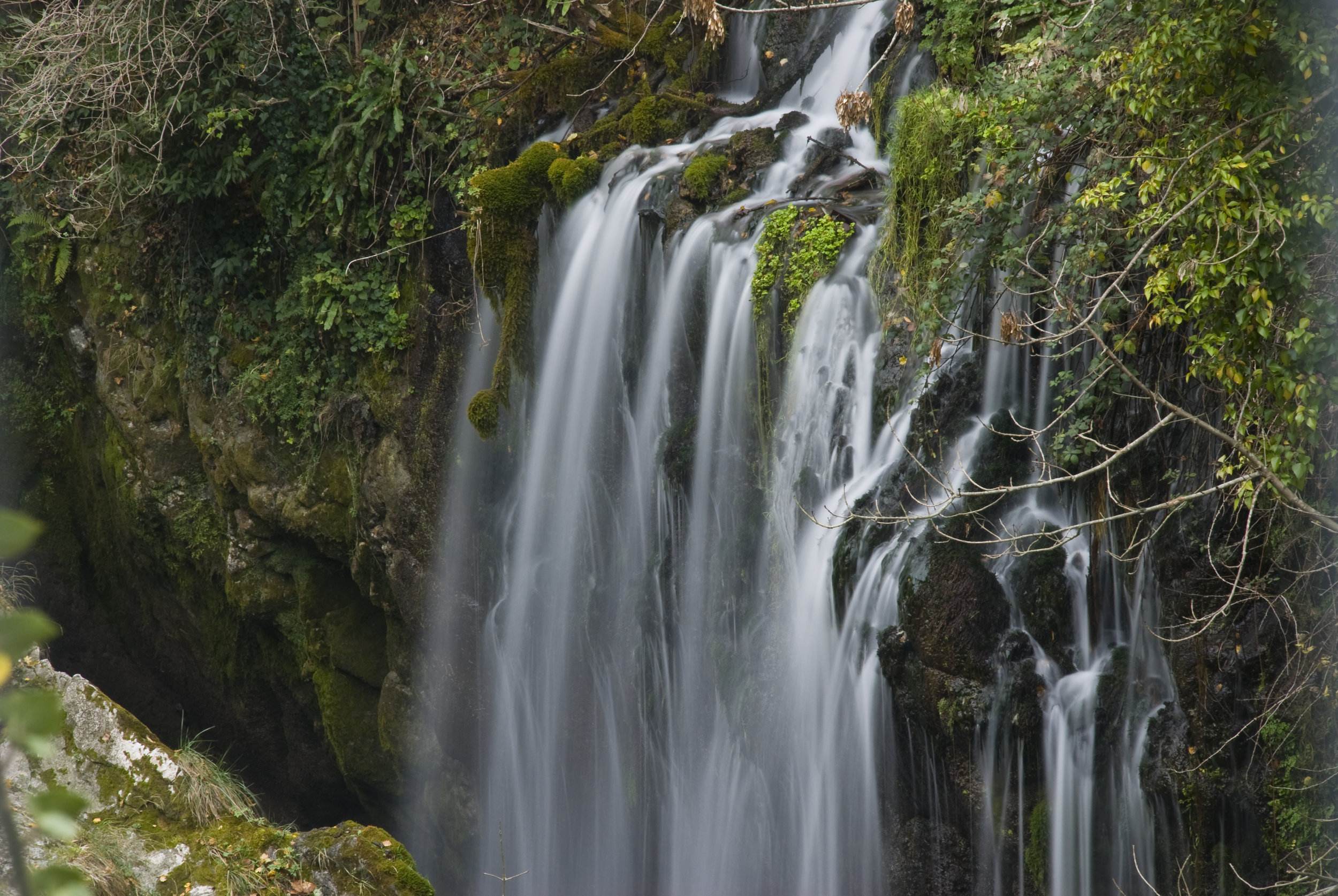DSC_5918.jpg