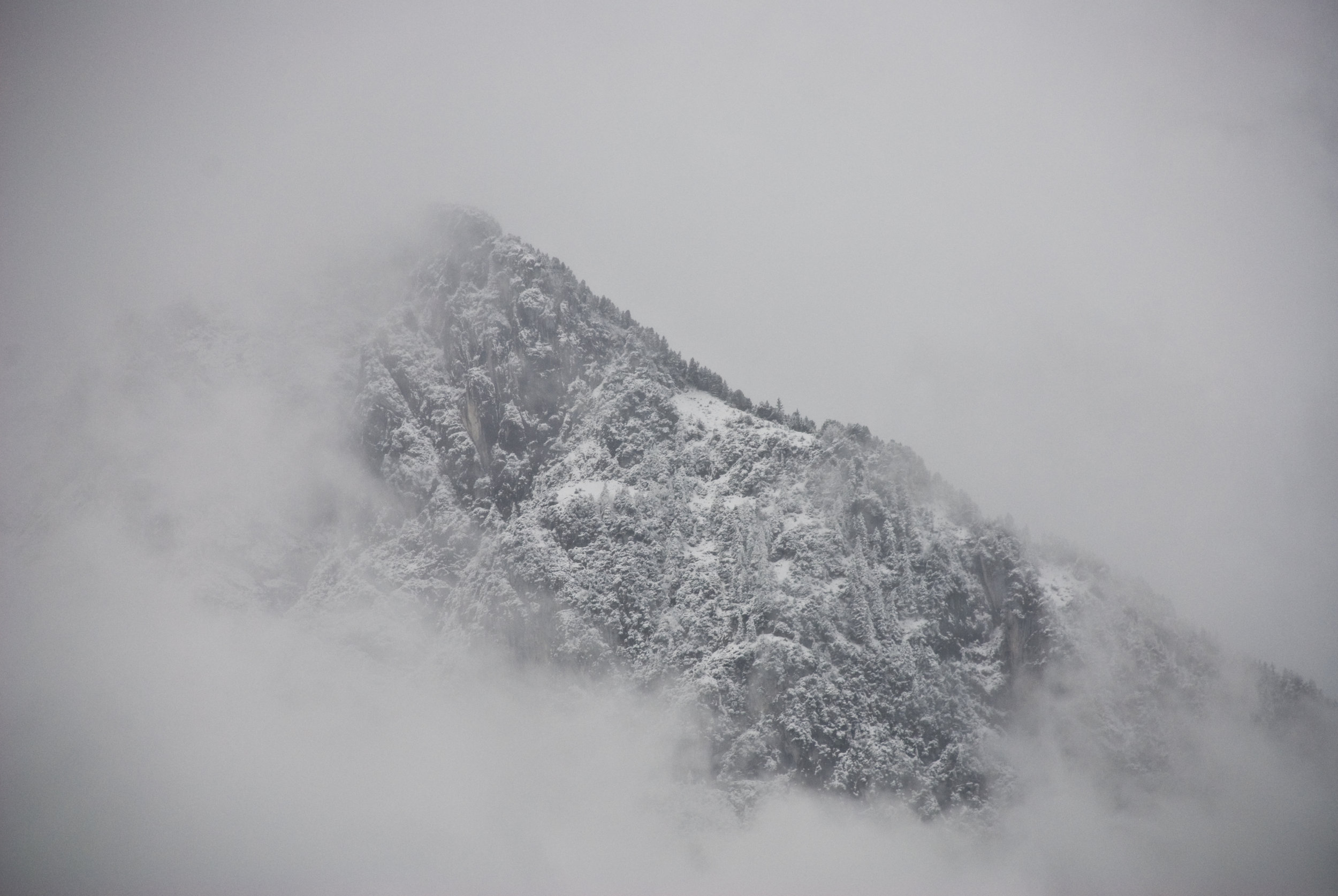 DSC_5964.jpg