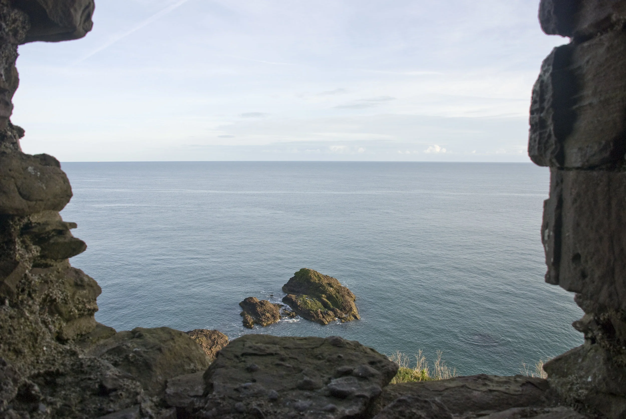 DSC_6462.jpg
