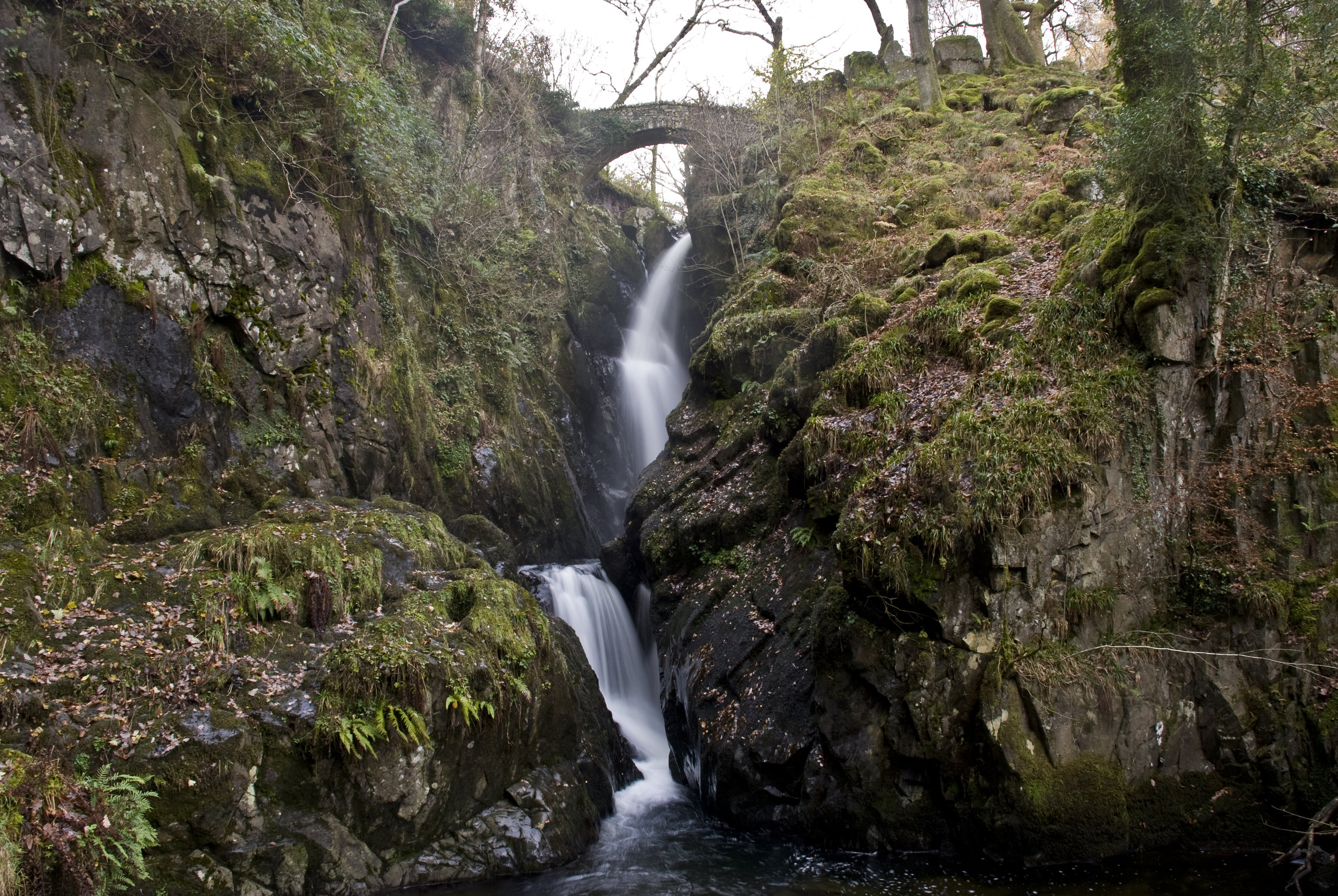 DSC_6298.jpg