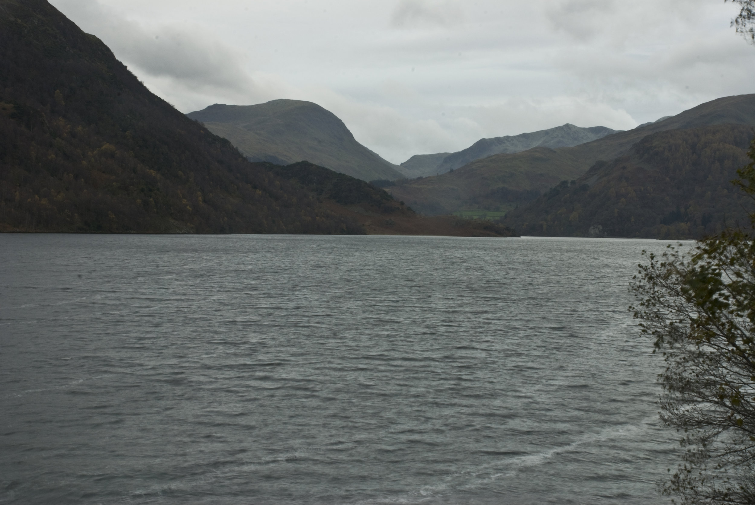 DSC_6369.jpg