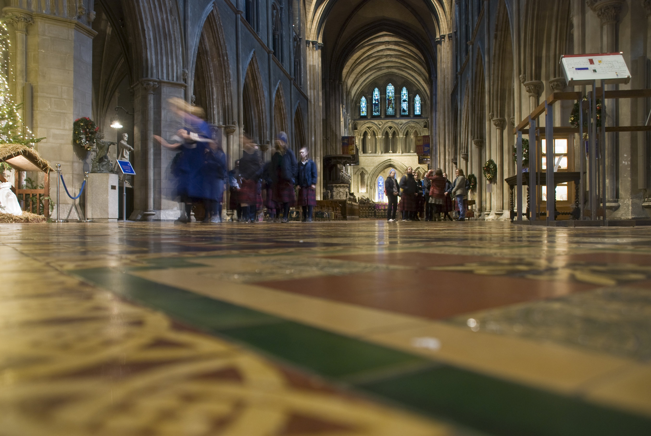 DSC_7445.jpg