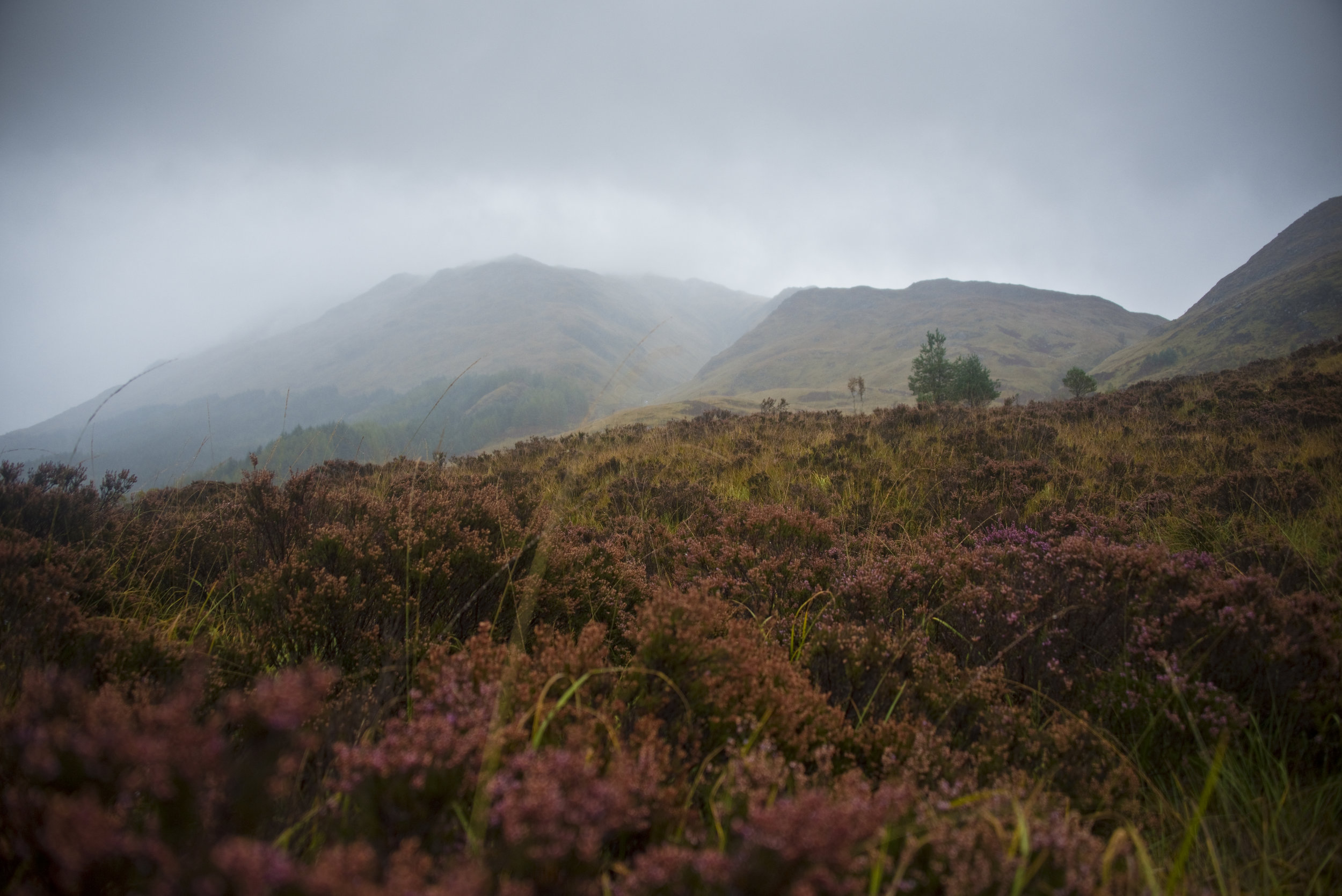 x100418_118.jpg