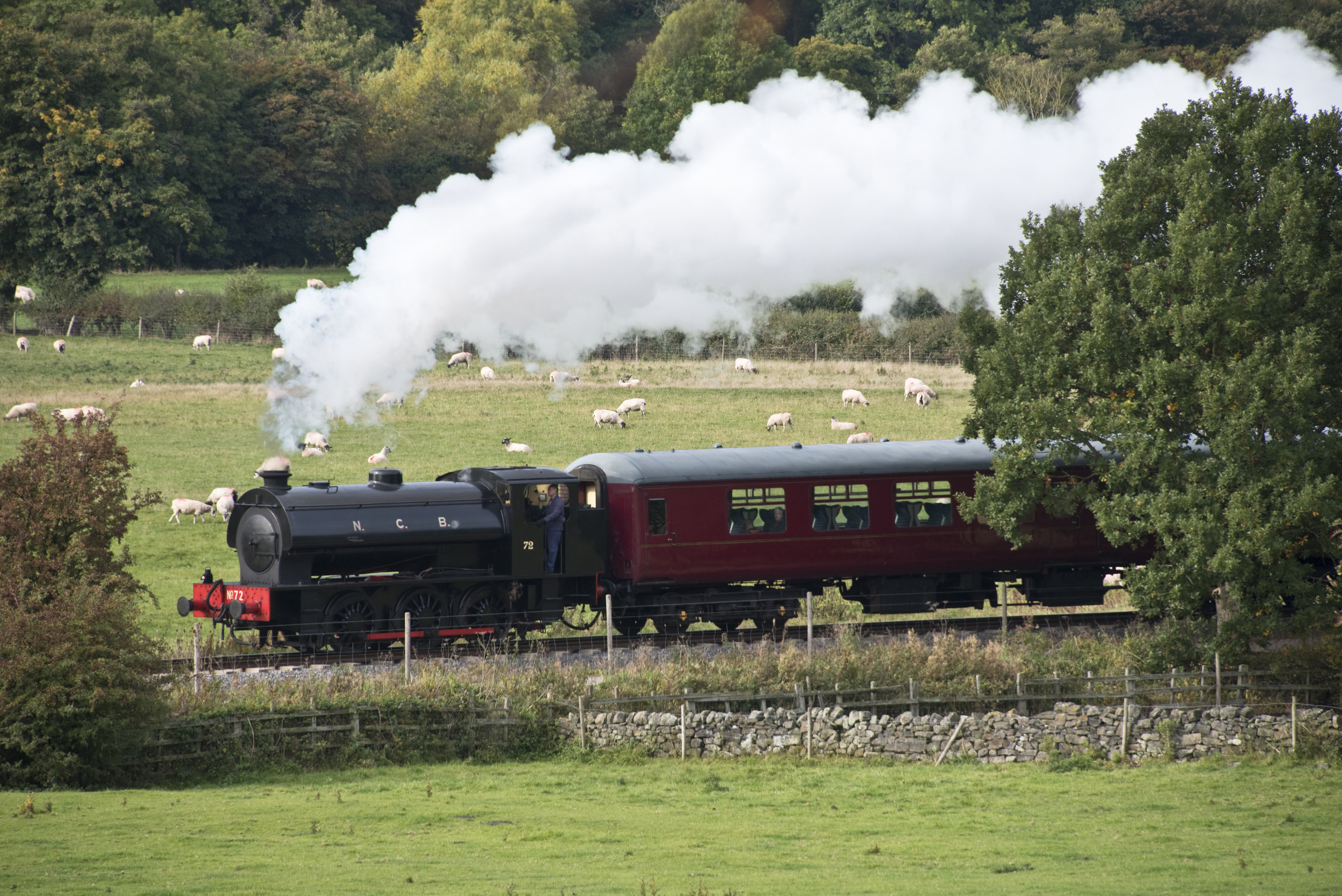 x100718_110.jpg