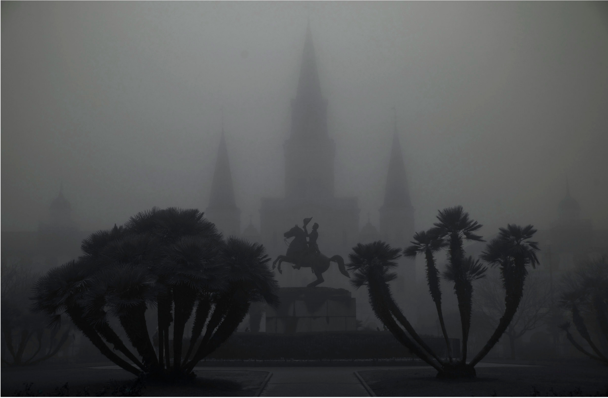 New Orleans Fog (2019)