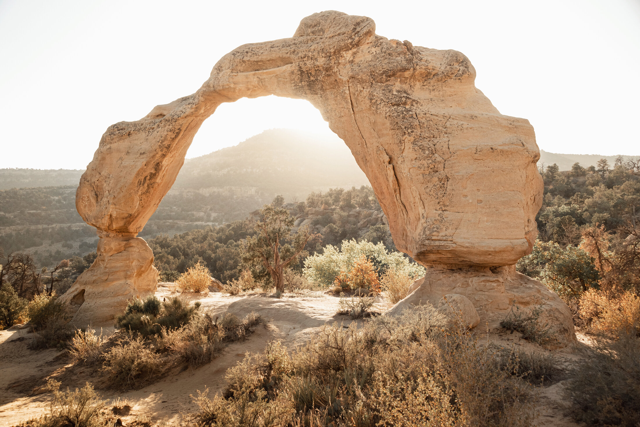 Cox Canyon Arch (USA, 2021)