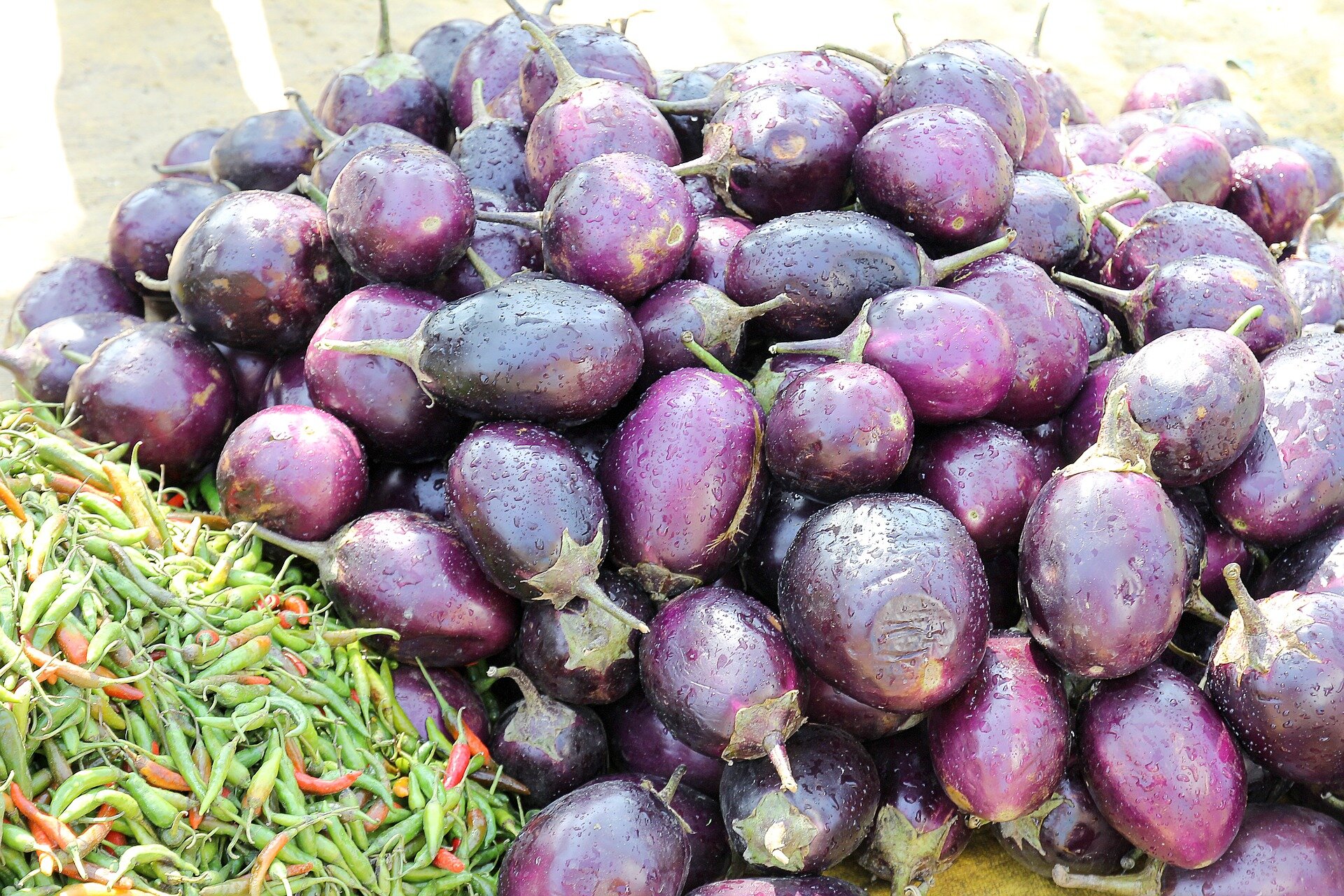 eggplant-829201_1920.jpg