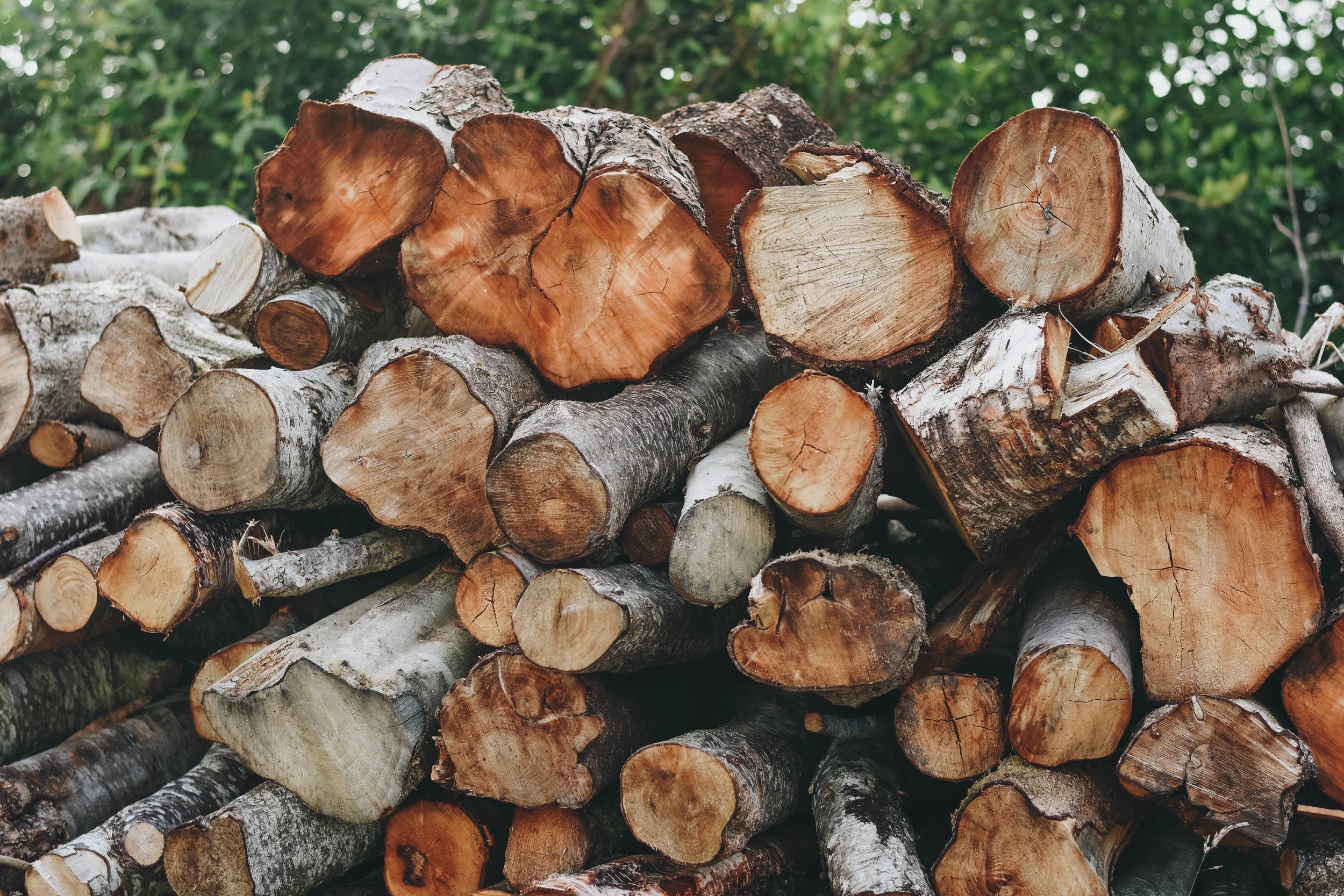 Fire Wood | Glenbeigh, Ireland | June 2016