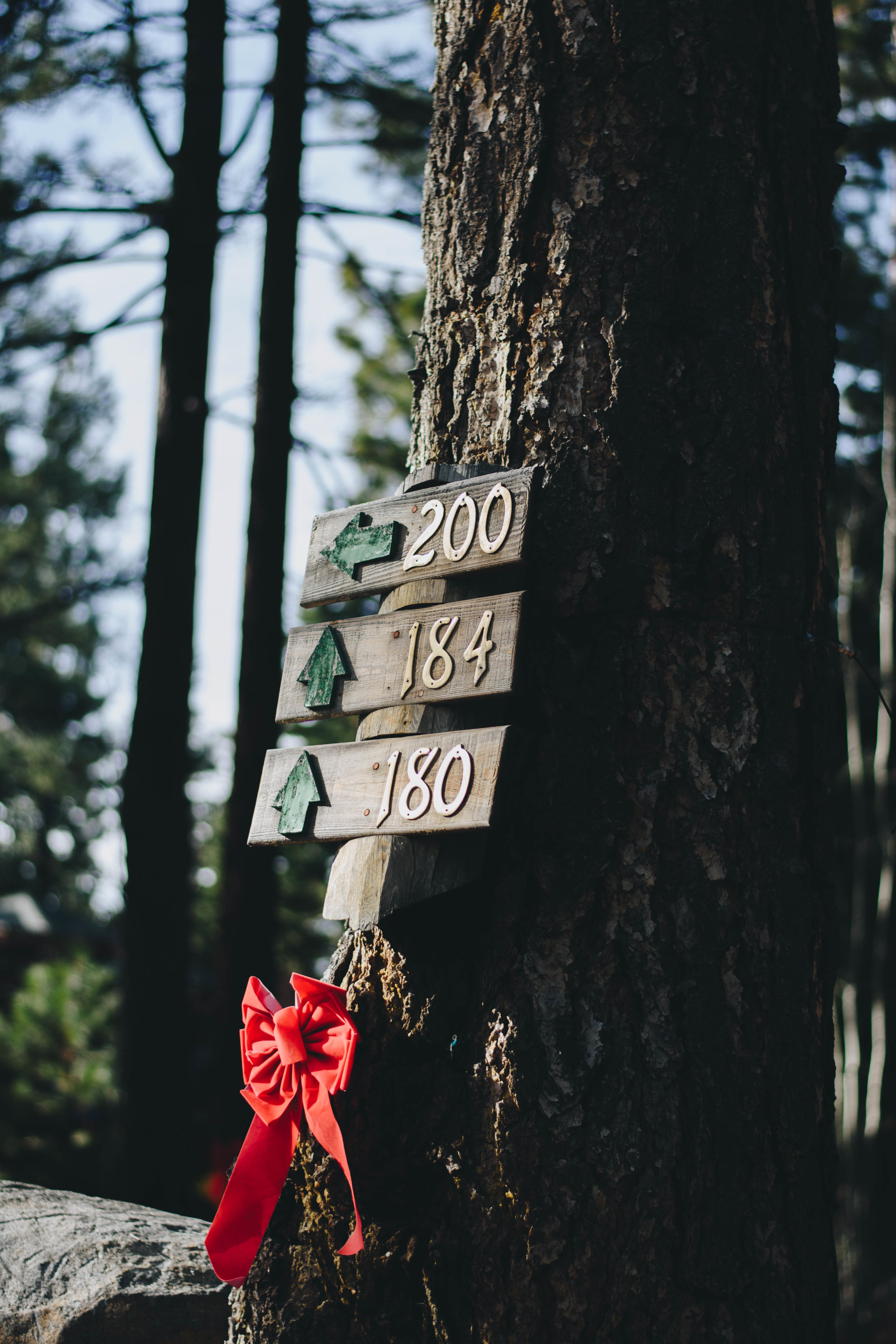 Christmas This Way | Lake Tahoe, California | December 18, 2016