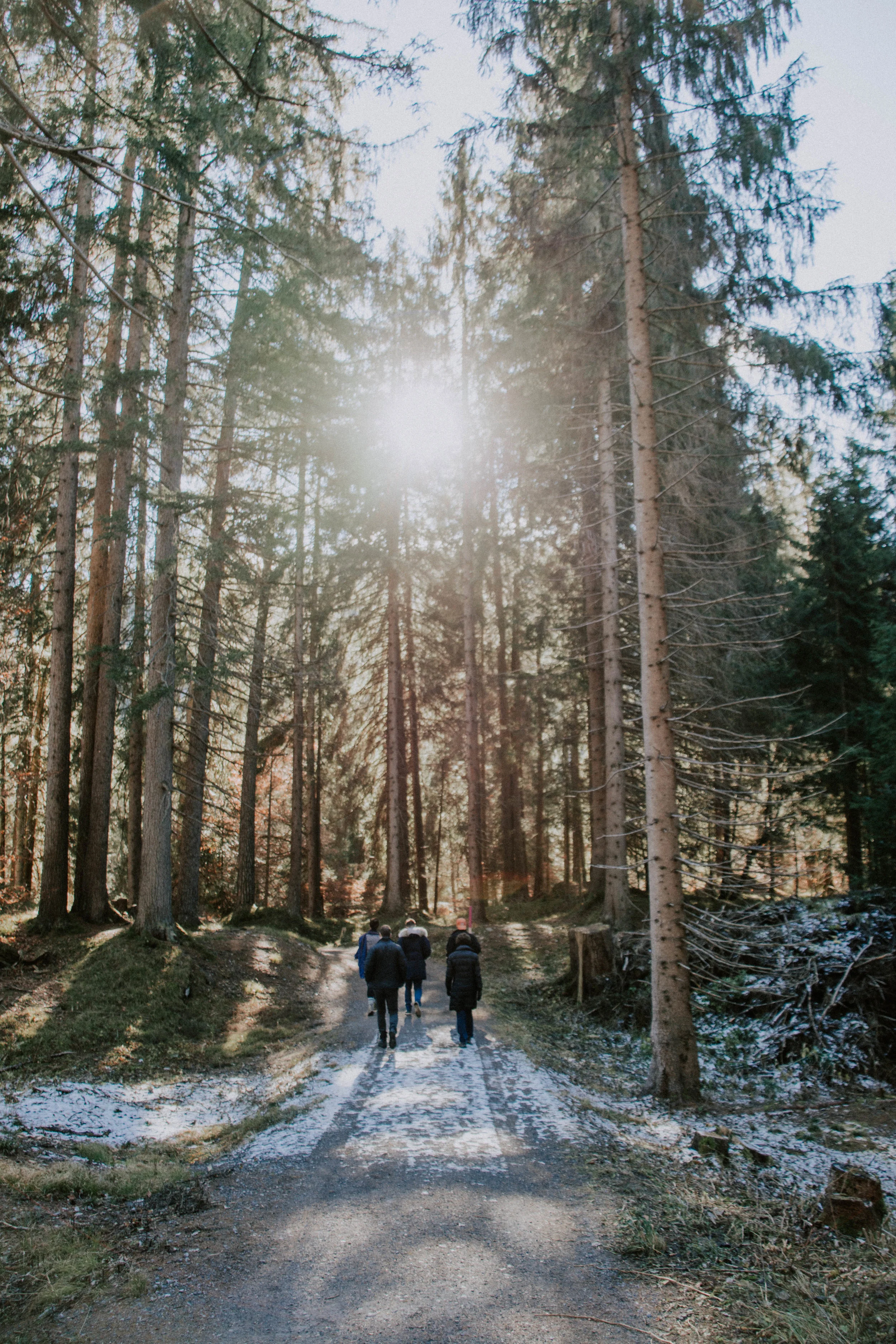 Hike in Flims