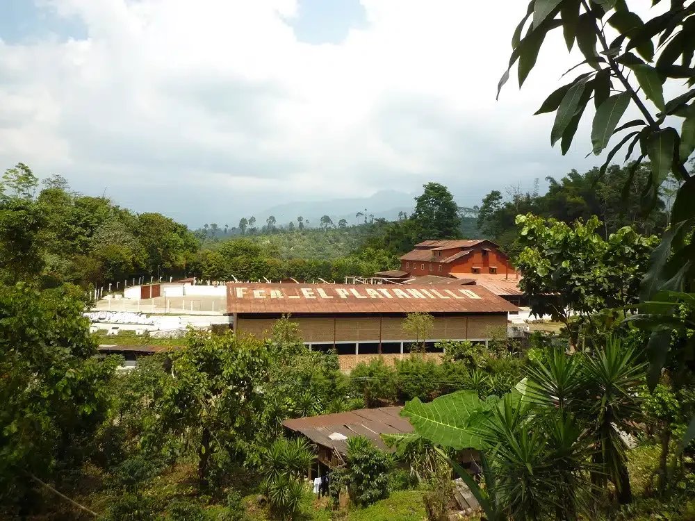 ☕ This Month’s Featured Coffee (February 2026)