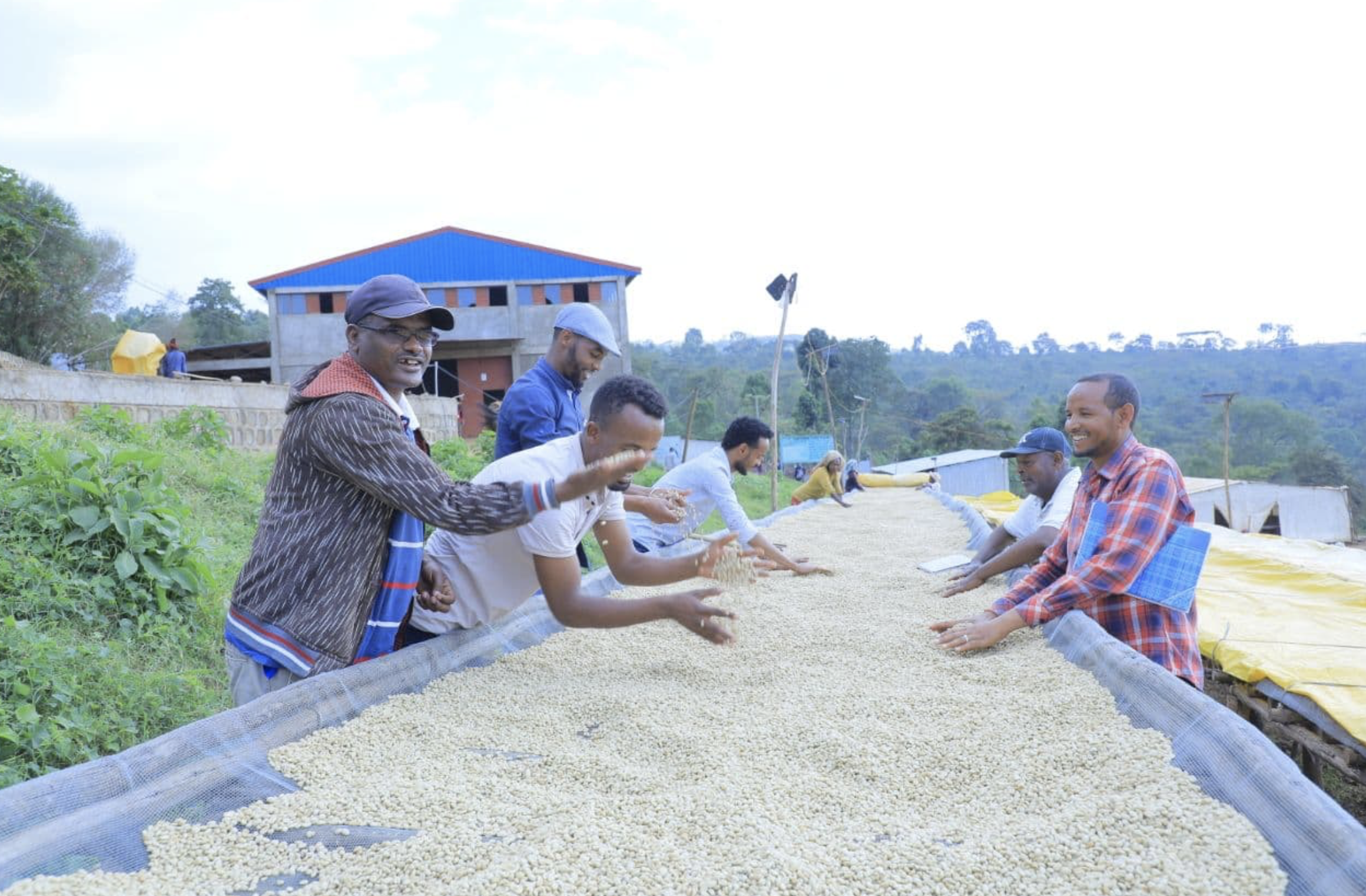 ☕ This Month’s Featured Coffee (March 2026)