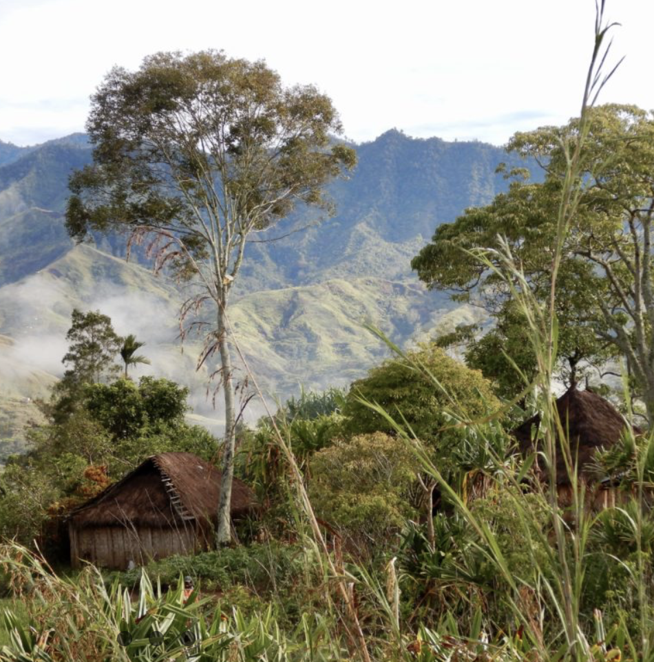 April Coffee of the Month – PNG Korofeigu Organic