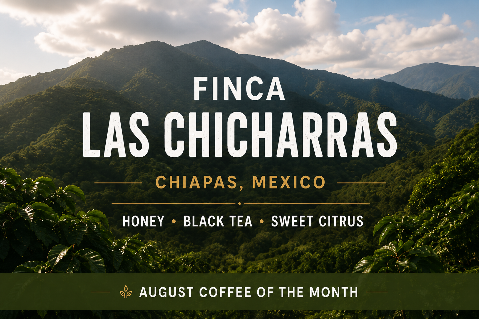 Mexico Chiapas