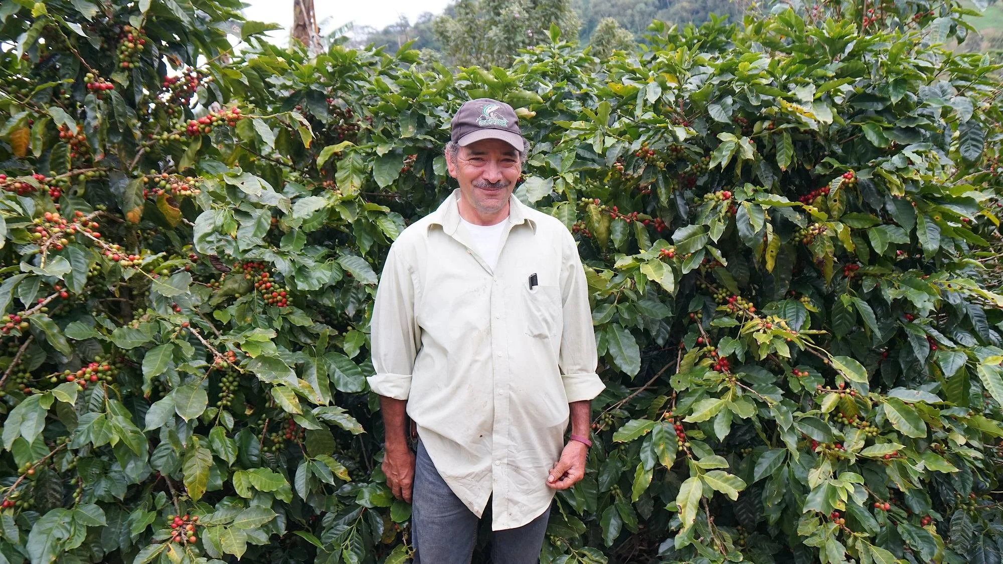 Pear Notes Microlot