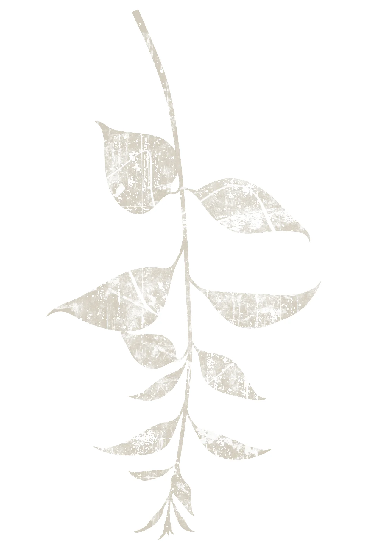Leaf_BIC.jpg