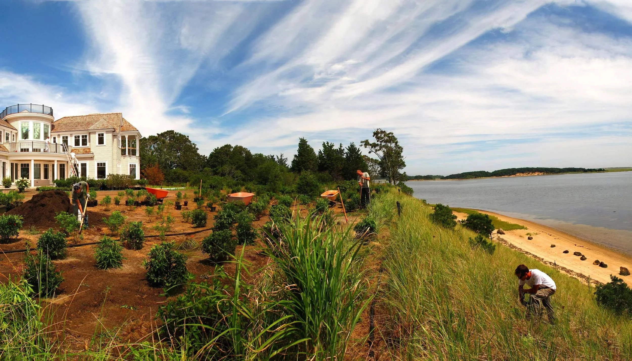 Home banner_3KOI_Panoramic_Schmieg_plant.jpg