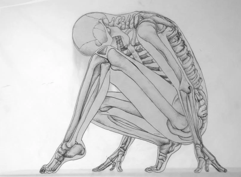 Skeleton1.jpg