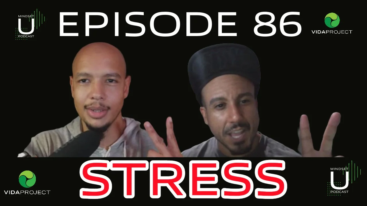 Mindset U Ep 86: Stress