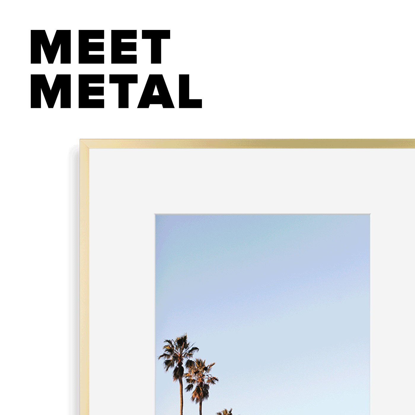 SF_Metal_GIF3_Loop.gif