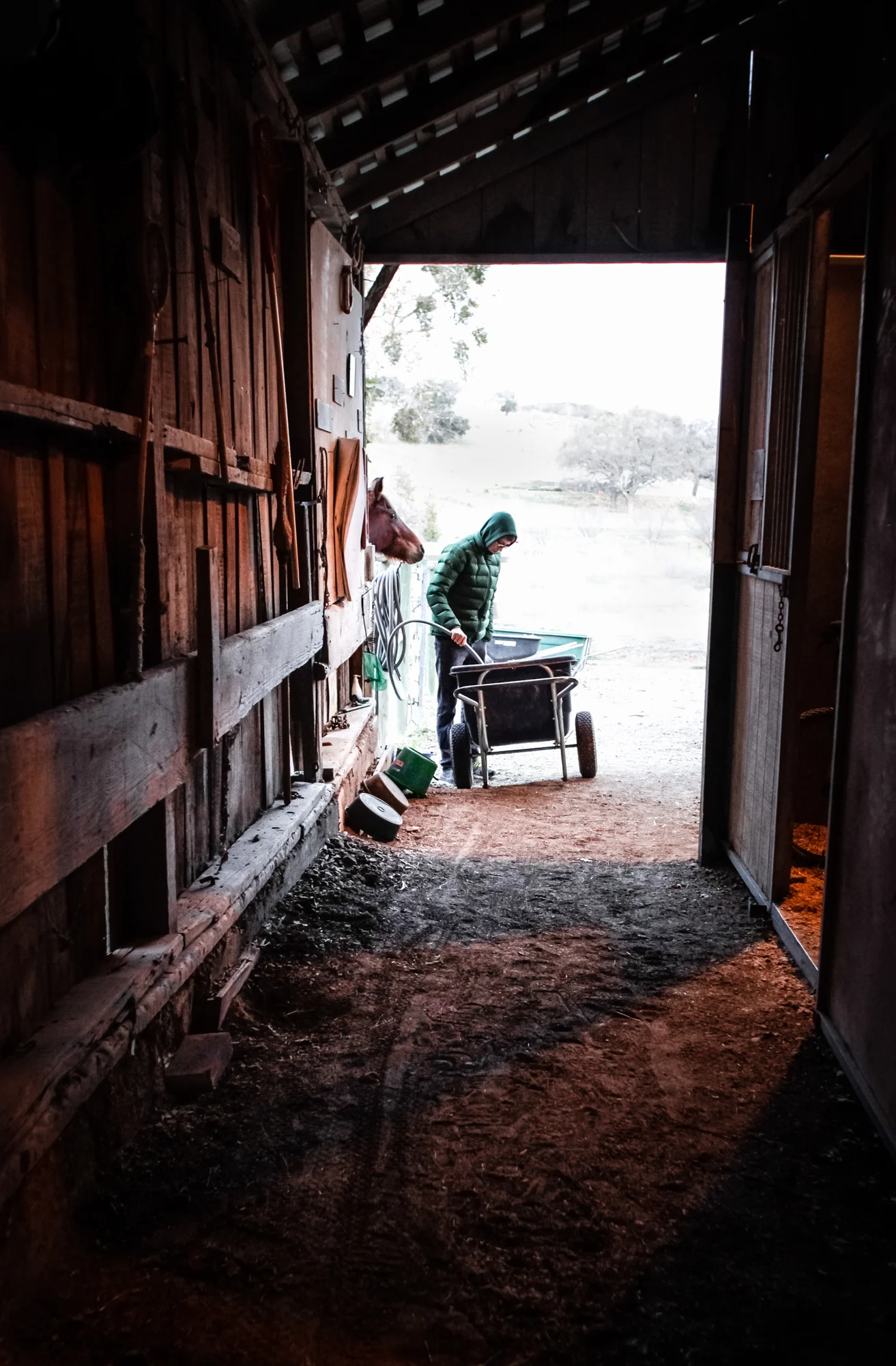 _MG_1514-2-Edit-Edit.jpg