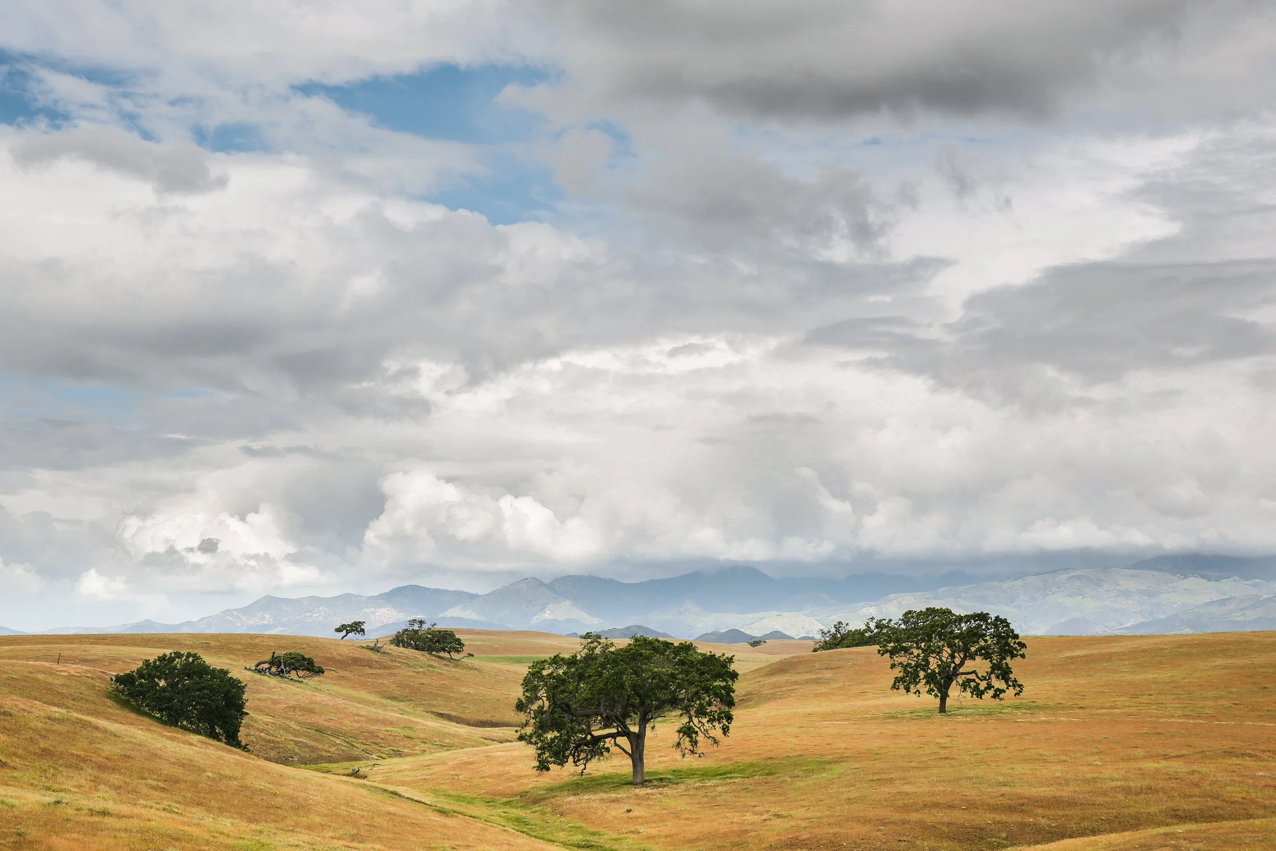 ClearingStorm-SantaYnez-Edit.jpg