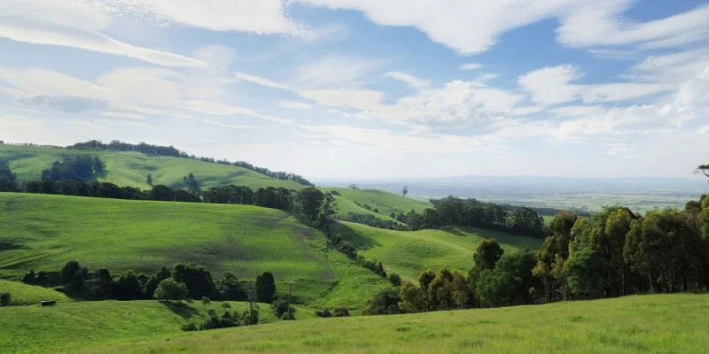 image-1.jpg