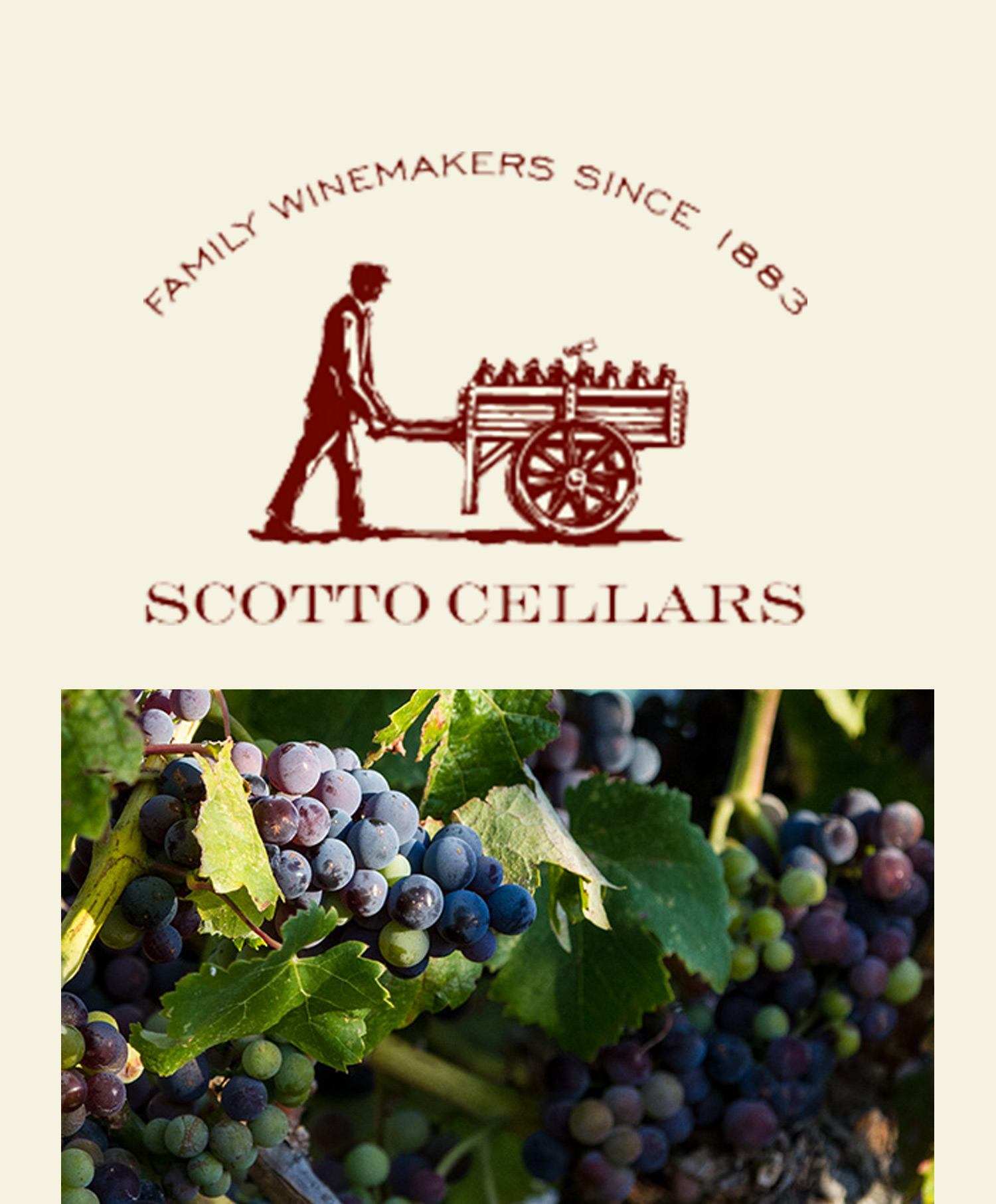 ScottoCellars_Thumbnail.jpg