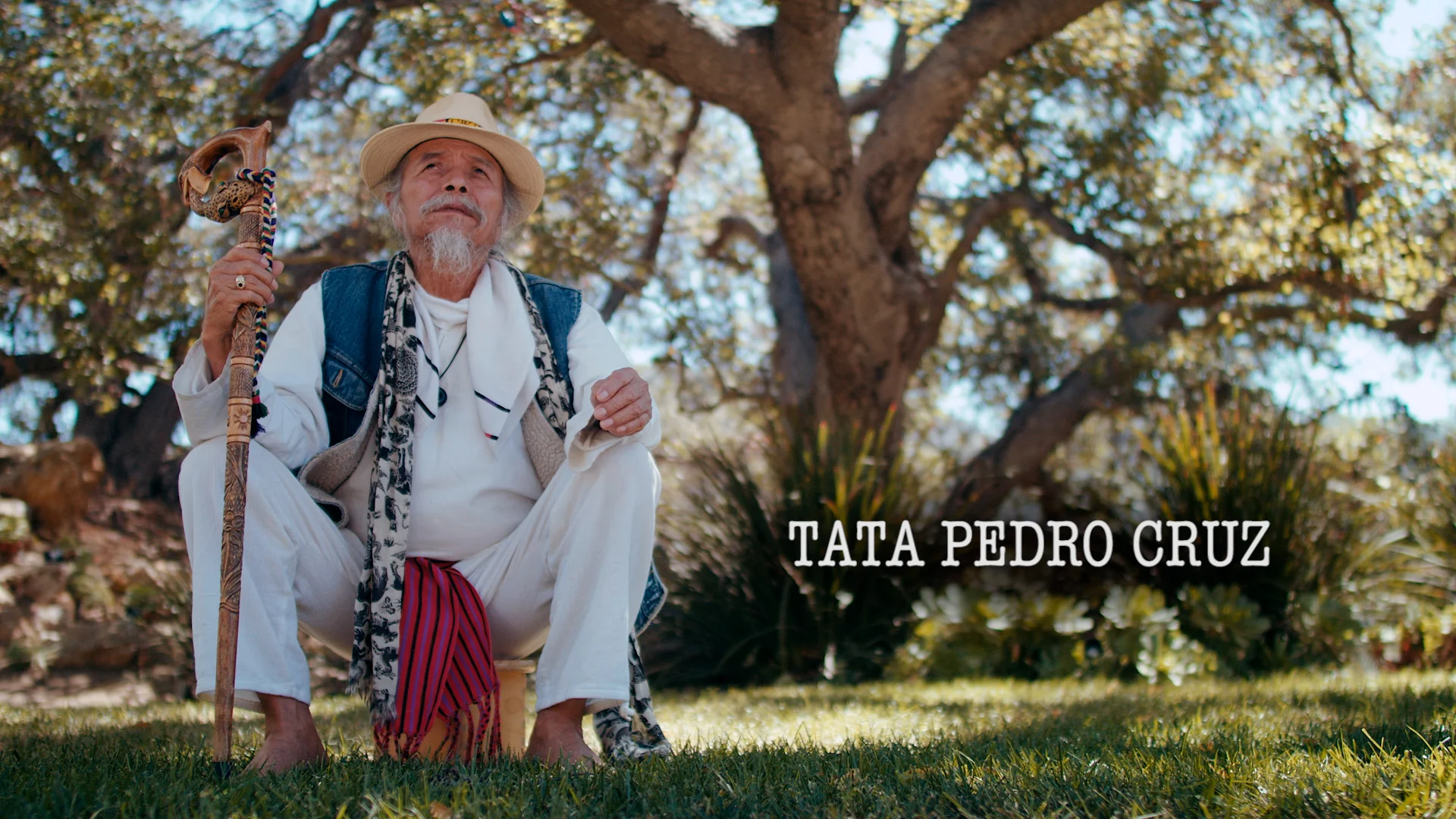 TATA_02.jpg