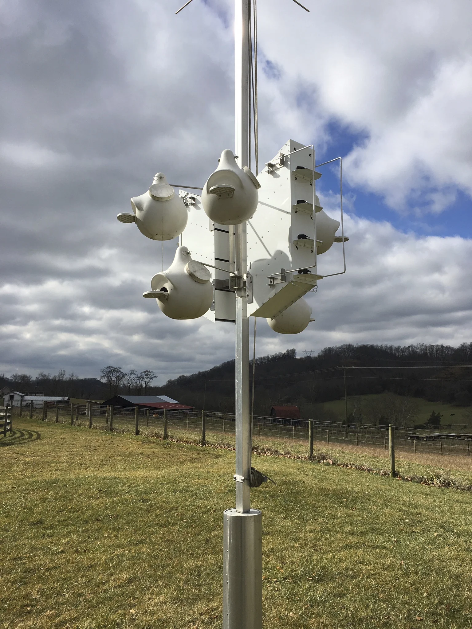 Trial ChirpyNest house and gourd combination