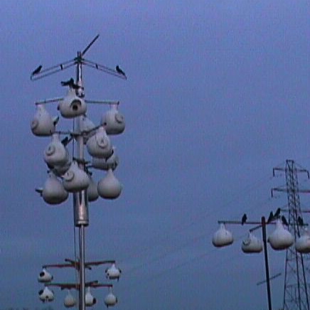 Second generation original pole